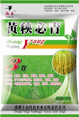 黄秧必青40g