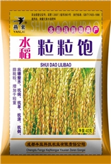 水稻粒粒饱