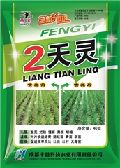 2天灵40克