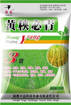 黄秧必青40g