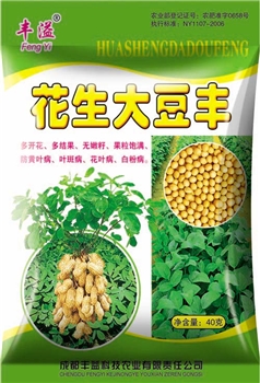 花生大豆丰
