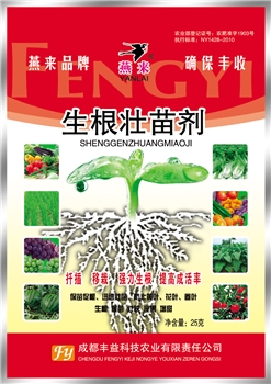 生根壮苗剂25克